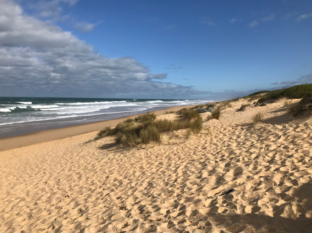 Stockyard Hill Surf Beach景点图片