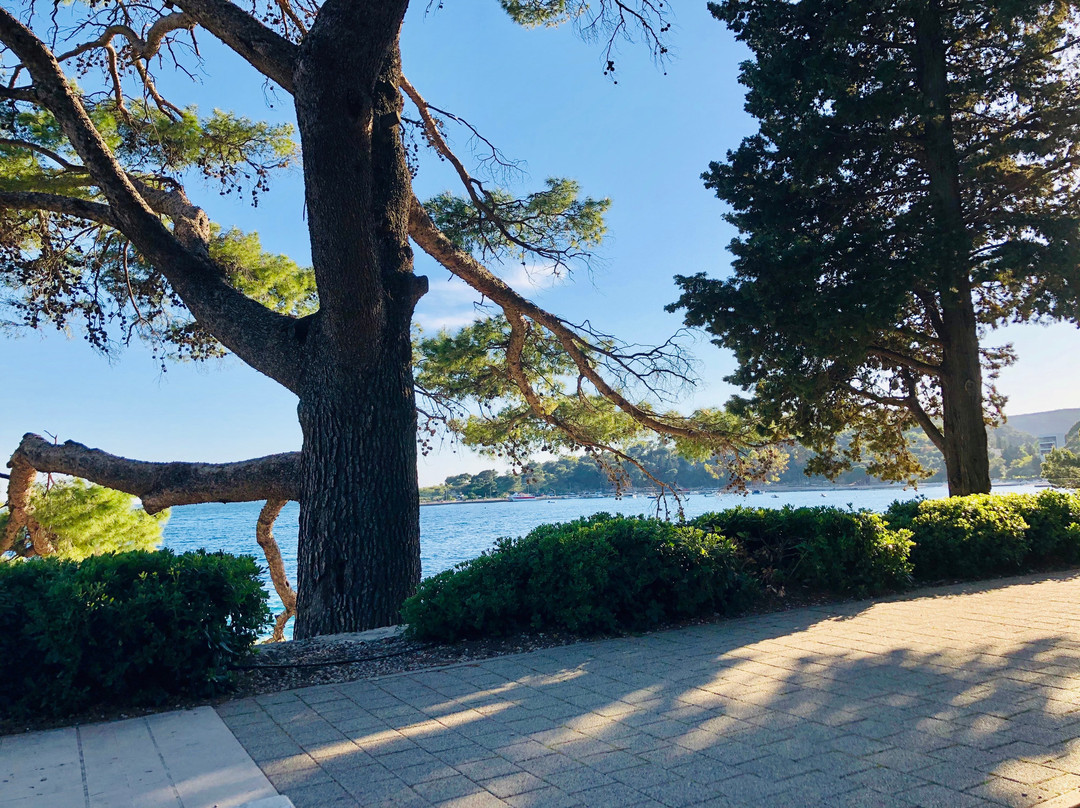 Hotel Avantgarde Dubrovnik主图