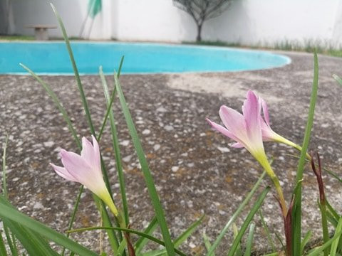 Hotel Santa Rosa主图