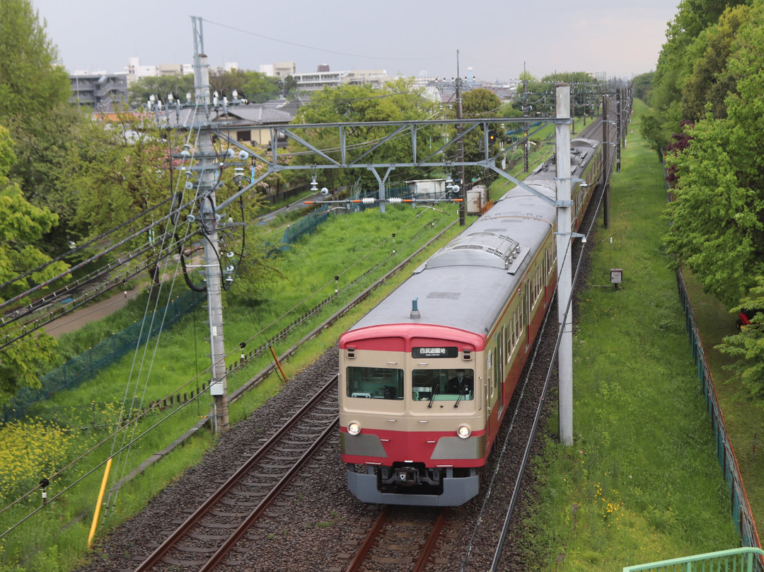 Tama Lake Cycling Road-东大和市必去景点