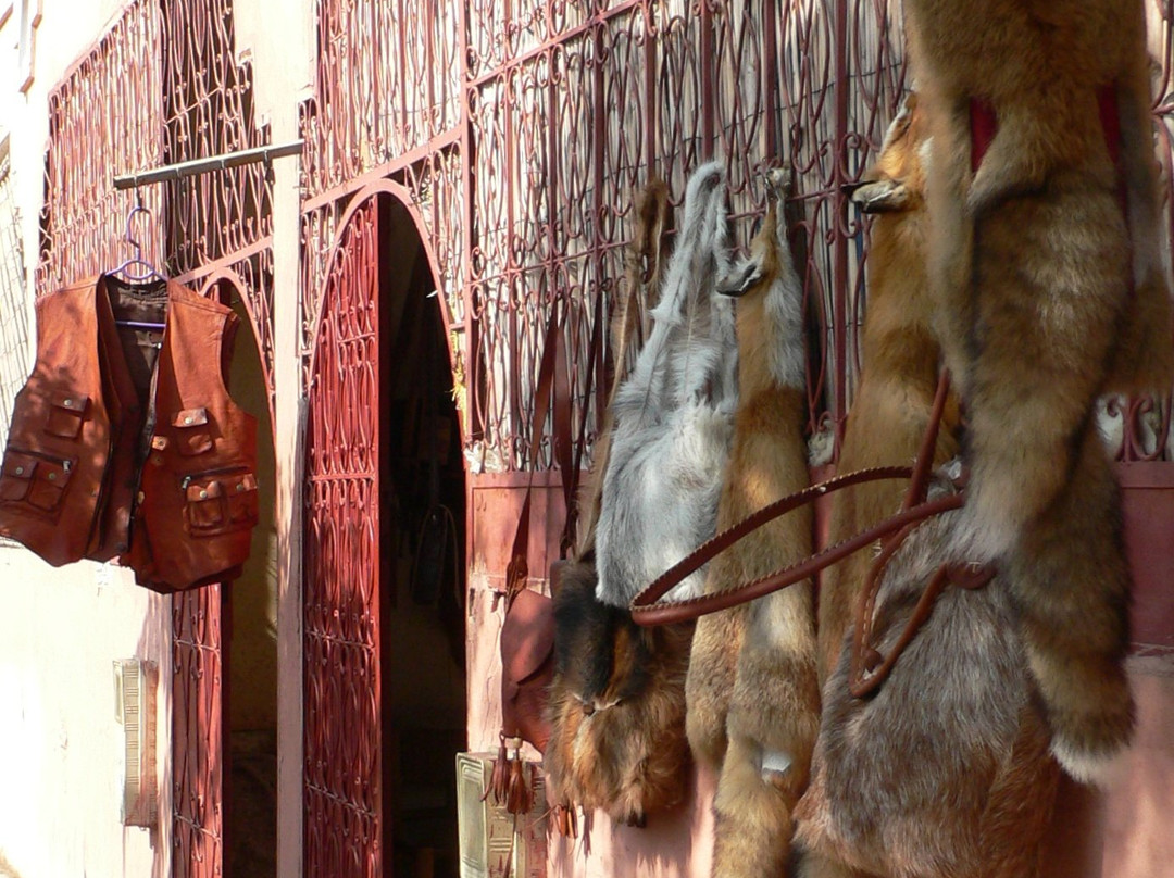 Tanneries-塔鲁丹特必去景点