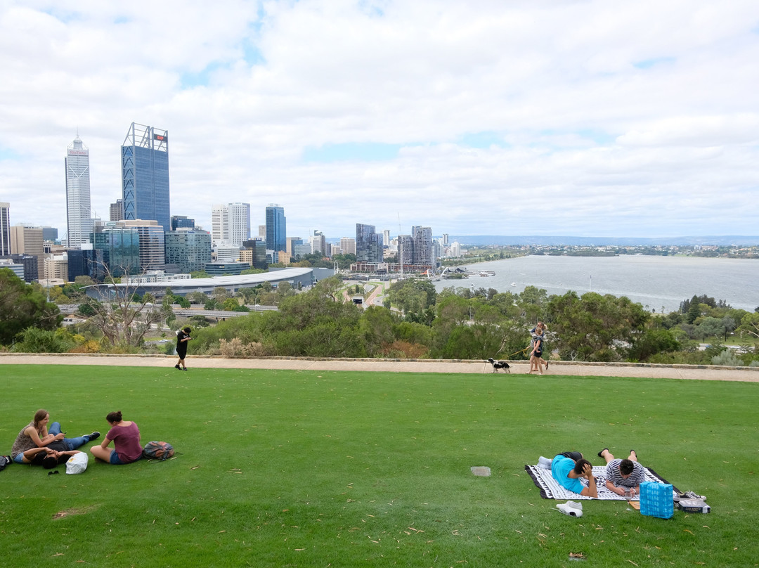 Fraser Avenue Lookout景点图片