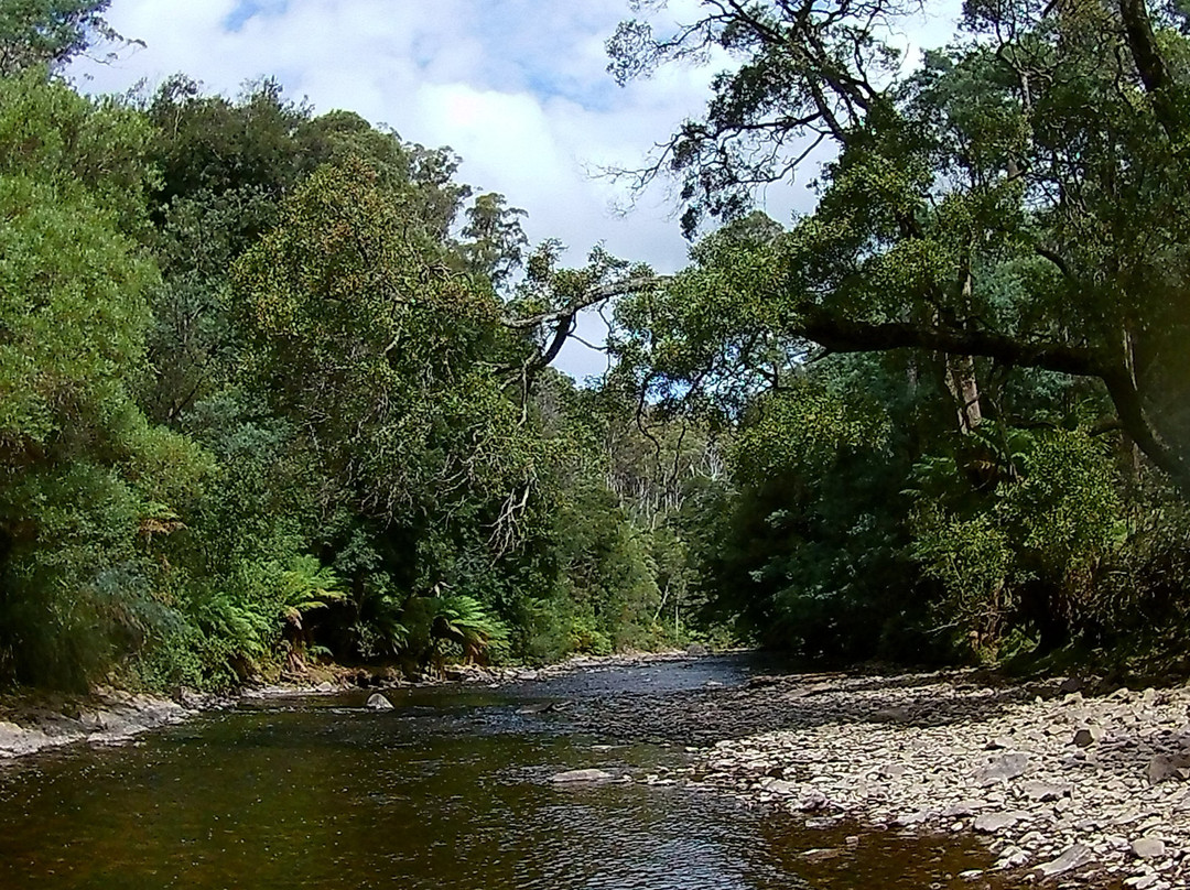 Tin Dragon Trail Cottages主图