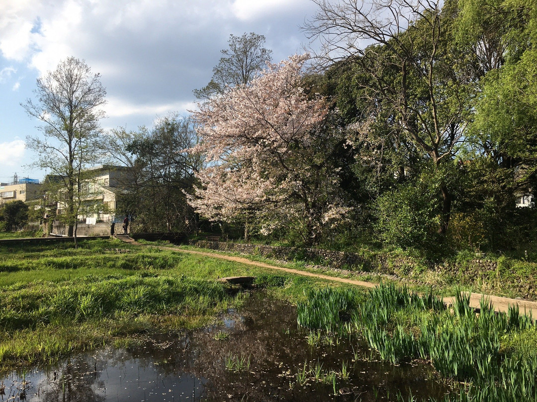 Yagawa Ryokuchi Park-立川市必去景点