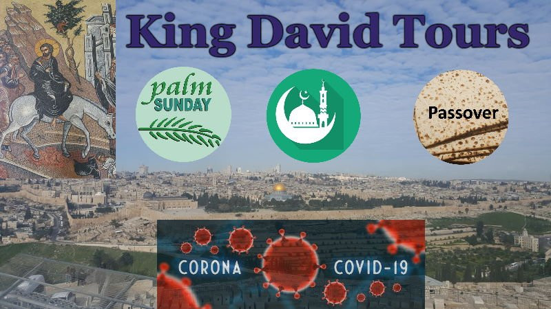 King David Tours Israel景点图片