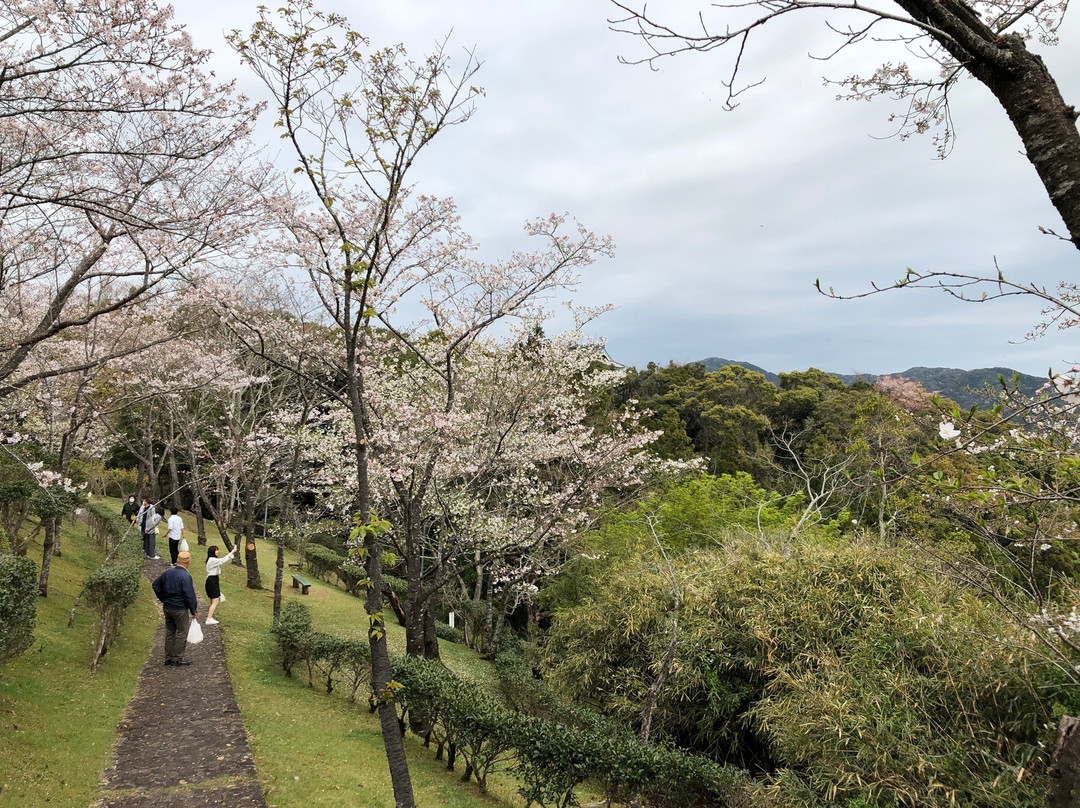 Tamematsu Park-四万十市必去景点