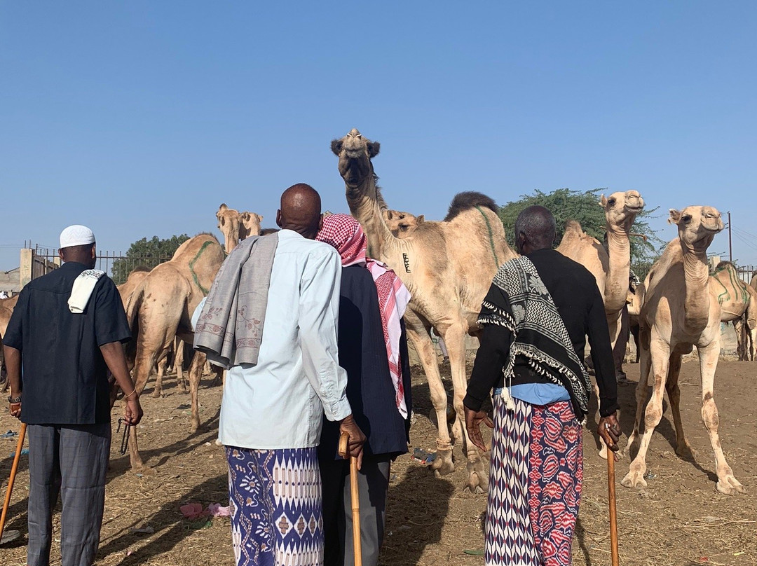 Livestock Market-Hargeysa必去景点