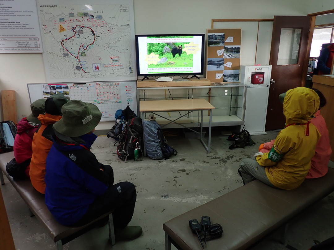 Brown Bear Information Center