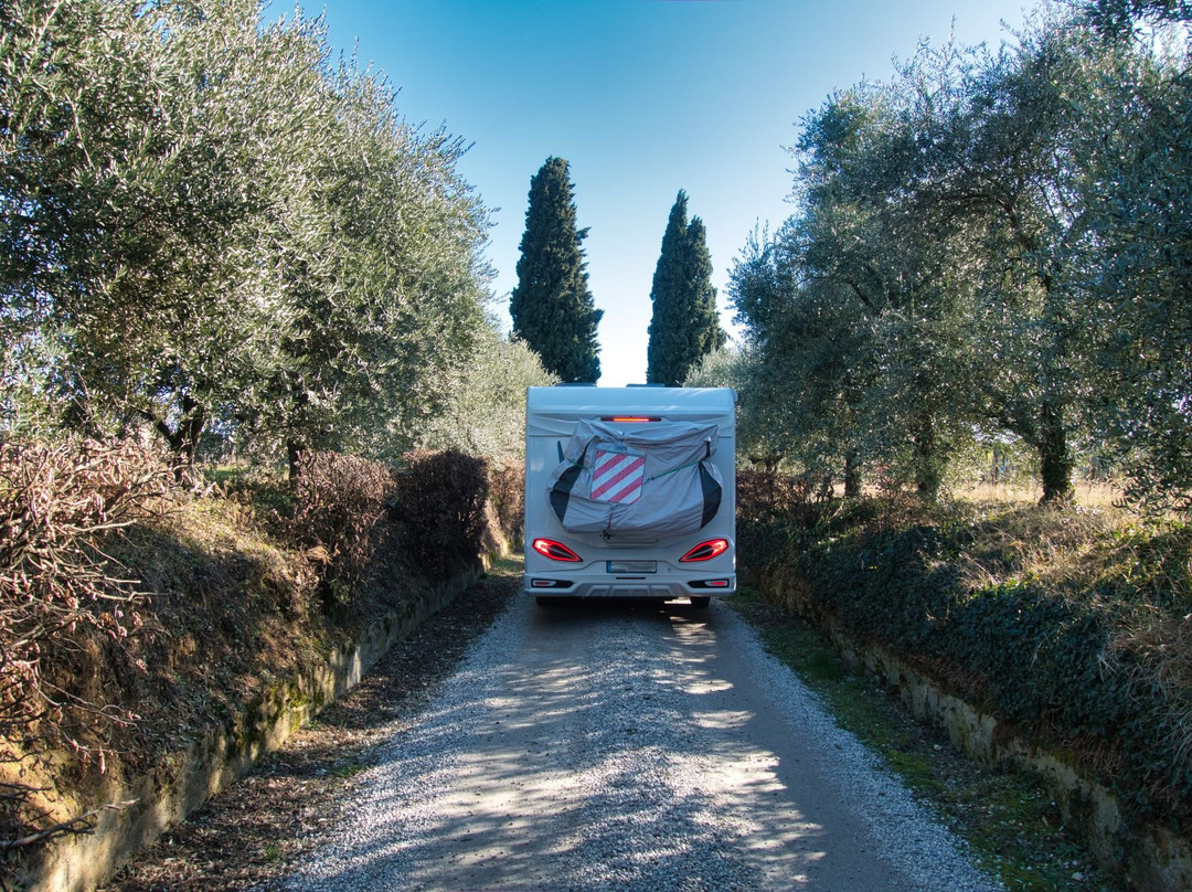 Azienda Agricola La Torre景点图片