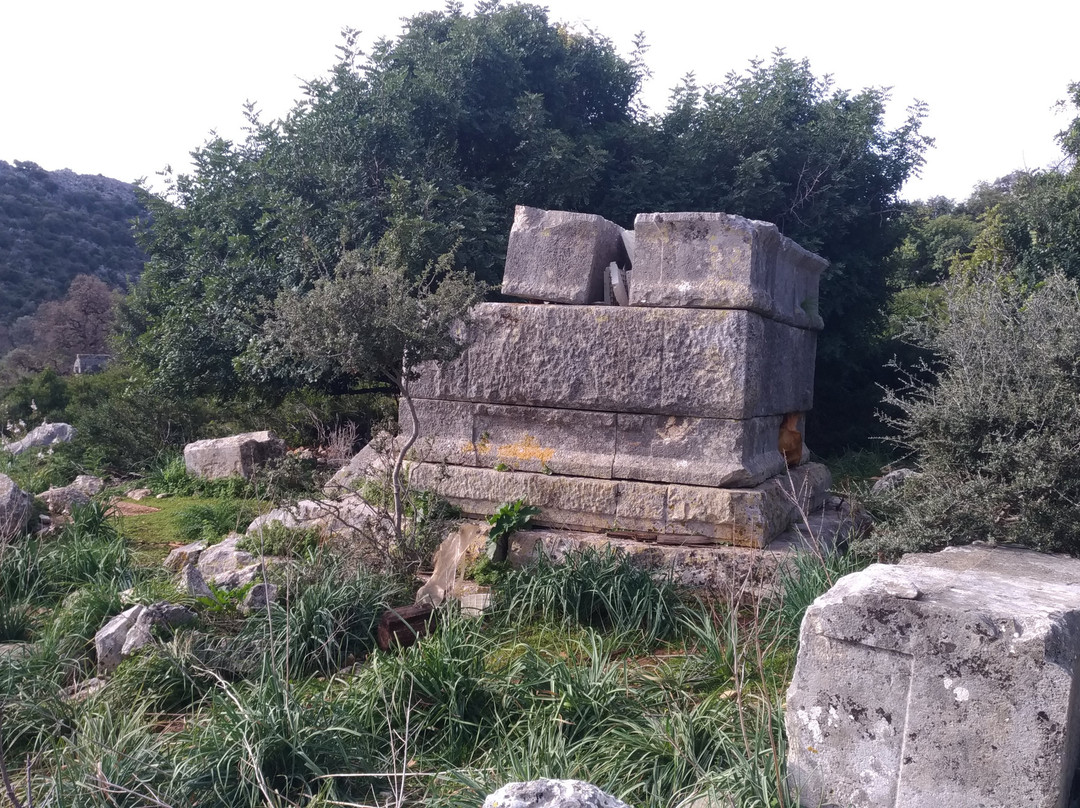 Sura Ancient City景点图片
