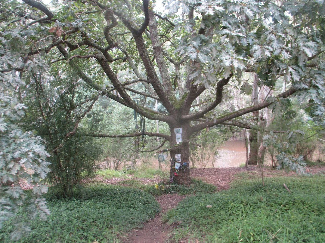 Heidelberg Park-Heidelberg必去景点