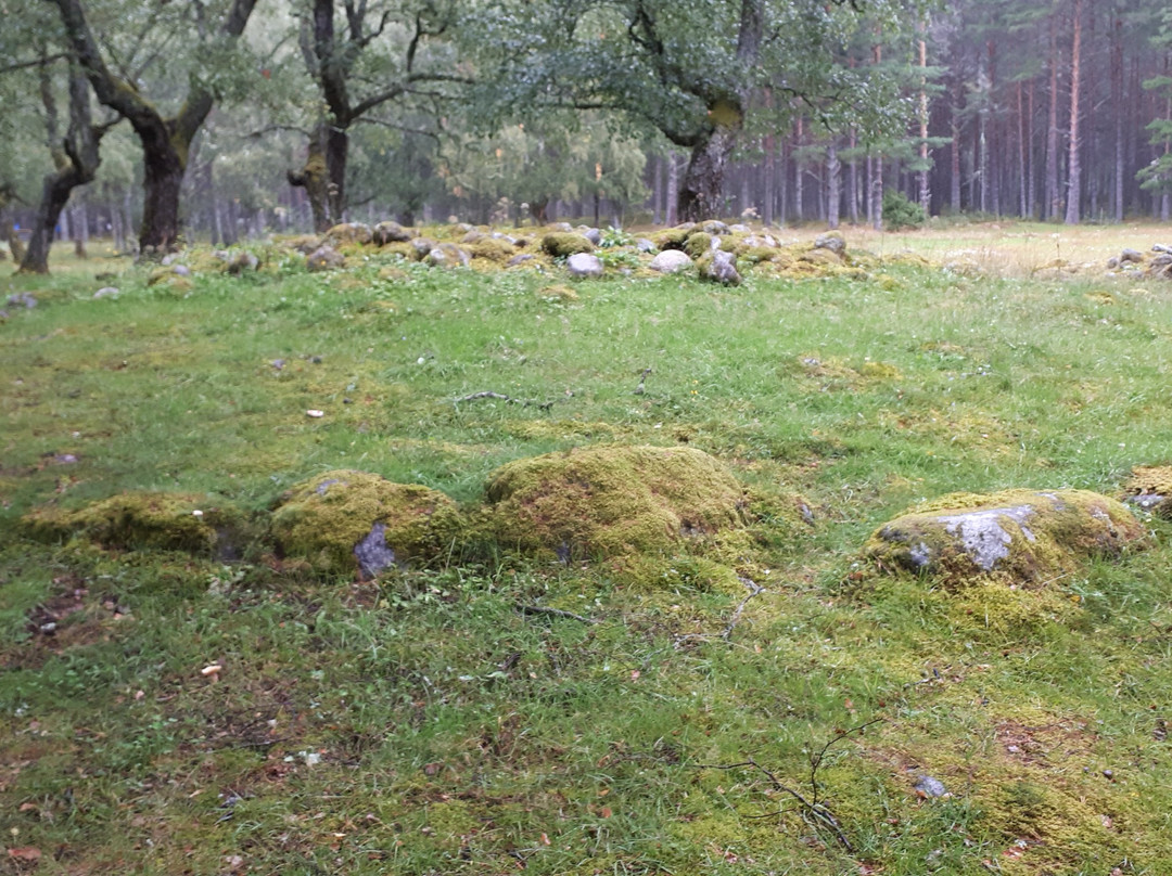 Haereid Iron Age Burial Site景点图片