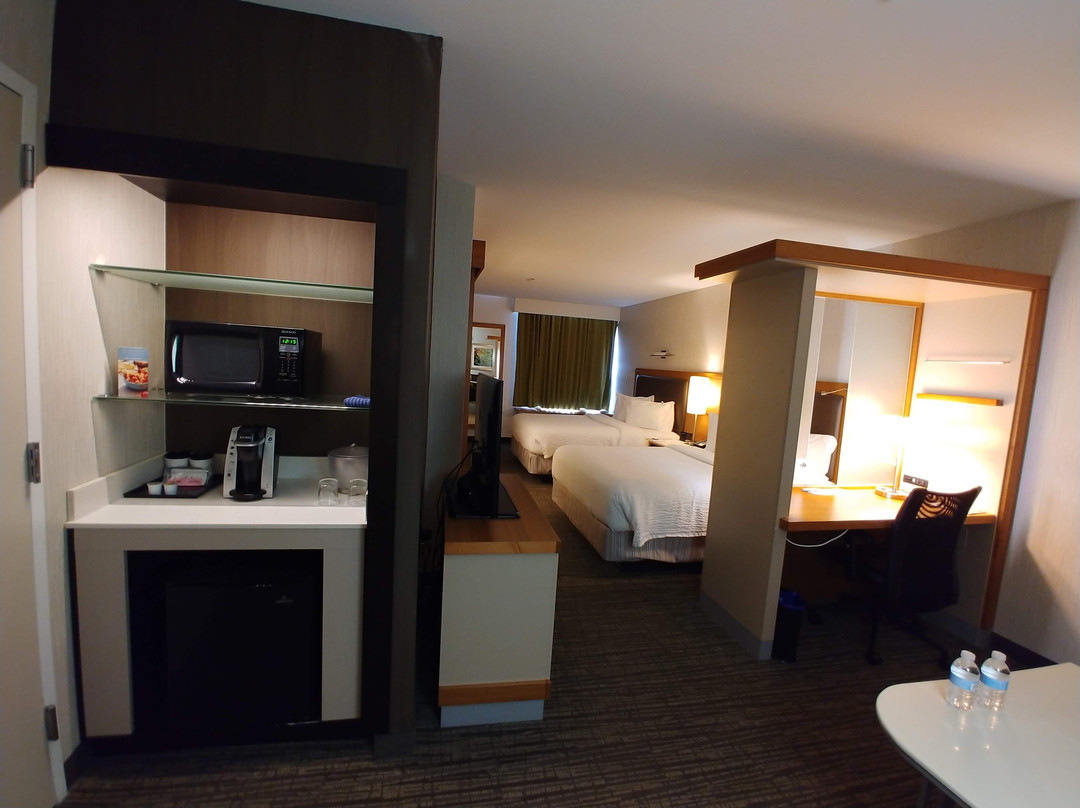 卡尔珀雷斯花园城市万豪SpringHill Suites酒店主图