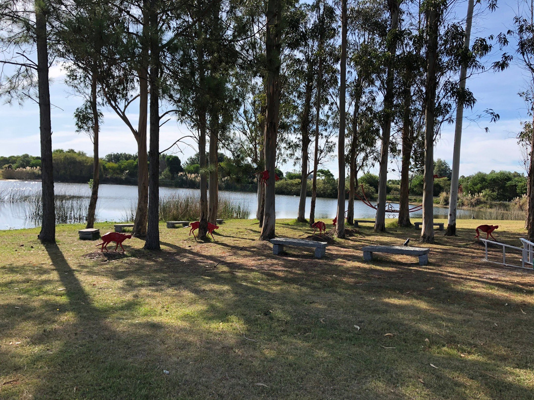 Playa de Jose Ignacio-Jose Ignacio必去景点