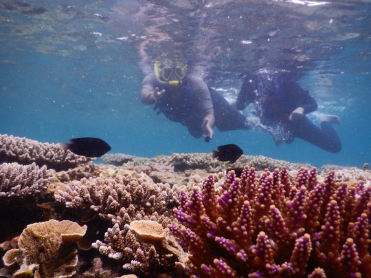 Ayo Karimun-Karimunjawa必去景点