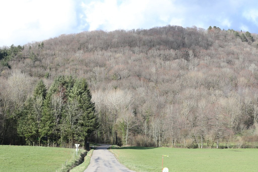 Mont Poupet-Salins-les-Bains必去景点