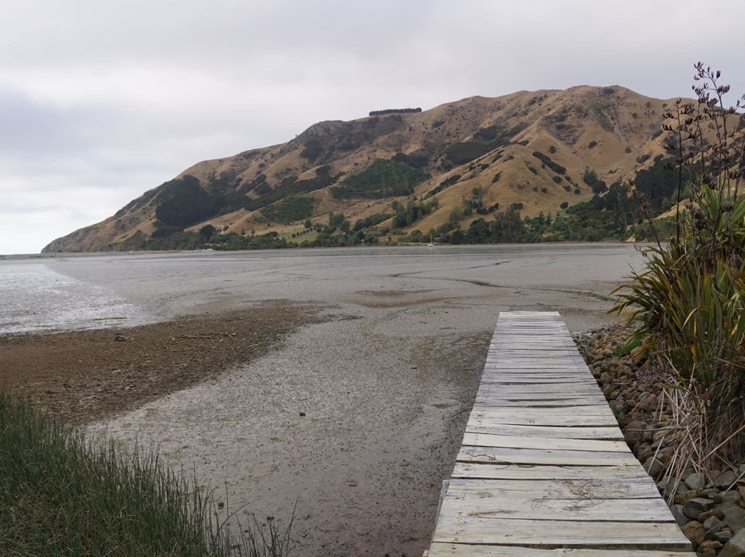 Cable Bay Lodge-Treehouse Waterfront Hideaway主图