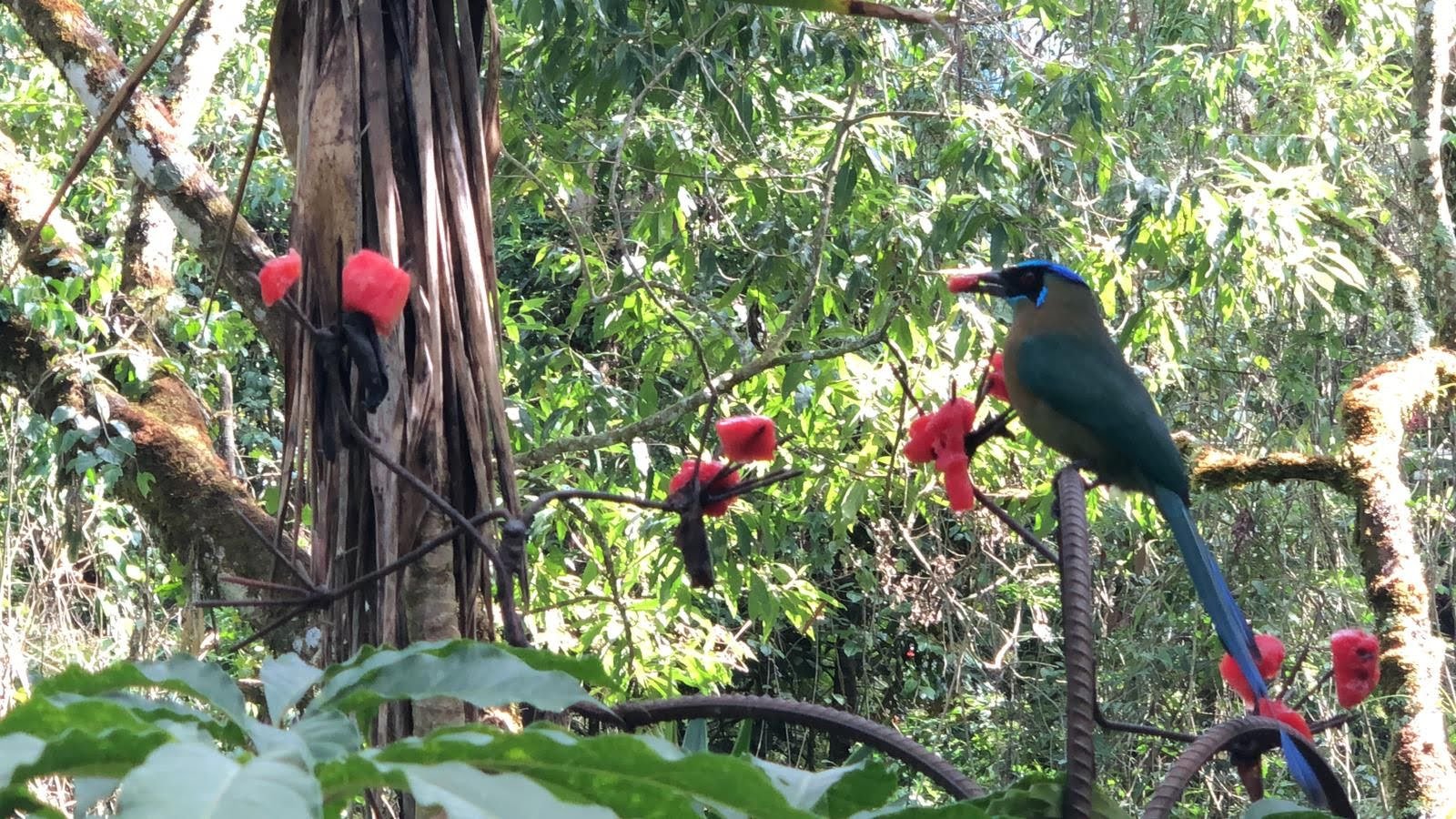 Casa Mariposa Nature Lodge-浴室