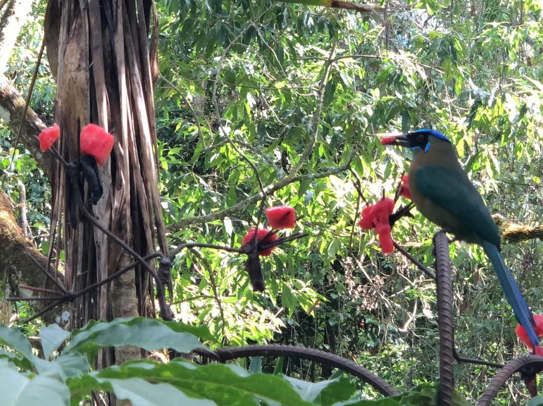 Casa Mariposa Nature Lodge主图