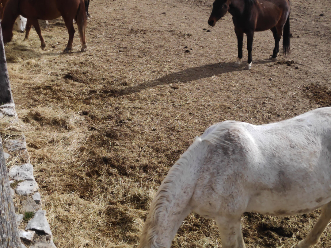 Hotel Ibersol La Casona de Andrea Hotel Rural主图