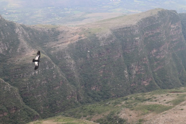 Valle de los Condores-塔里哈必去景点