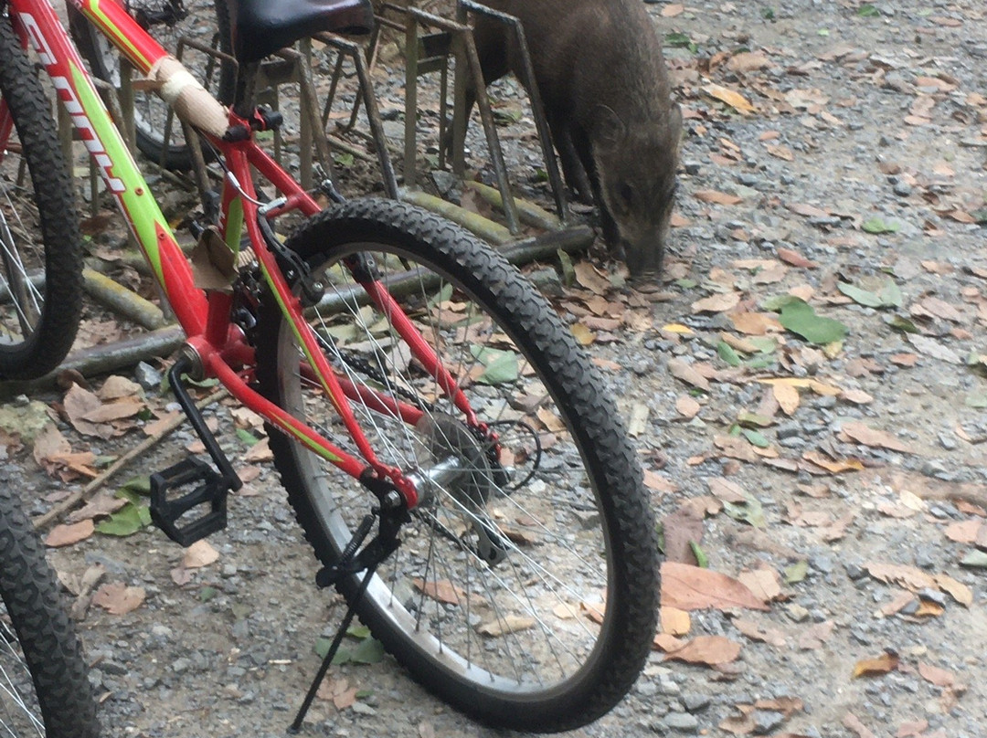 Chek Jawa-乌敏岛必去景点