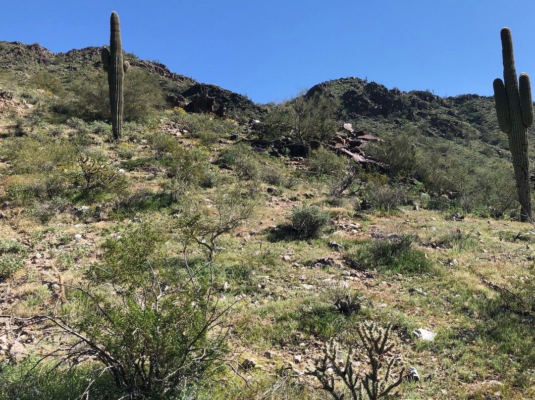Phoenix Mountain Preserve-凤凰城必去景点