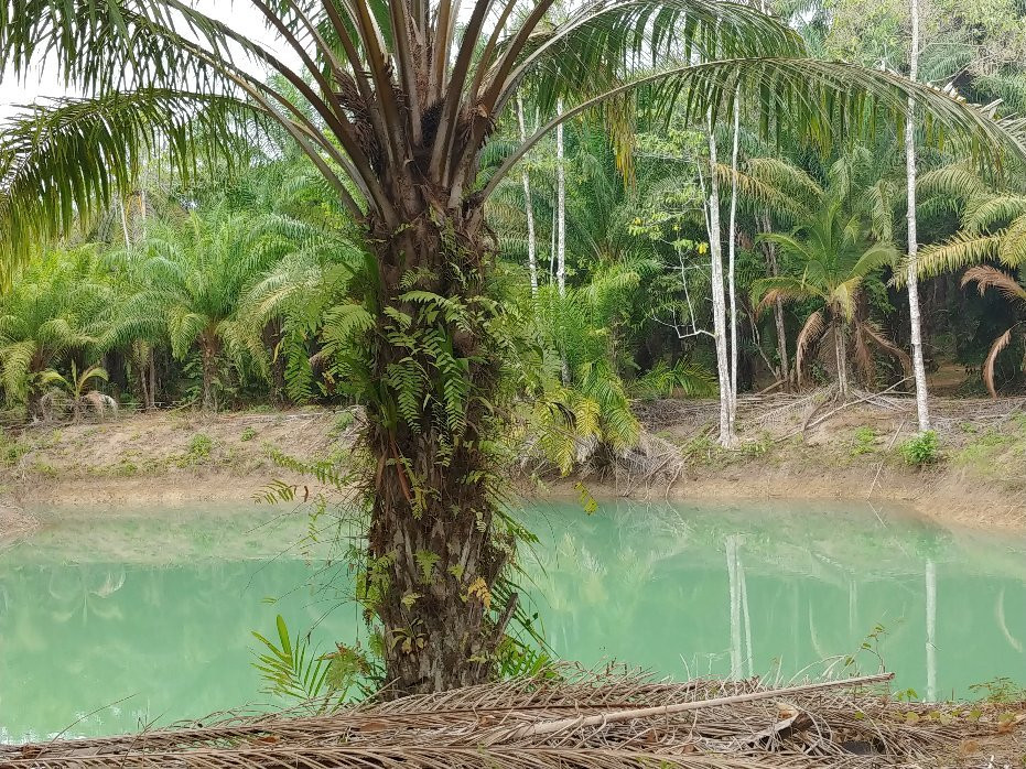 Thai'd Up Adventures景点图片