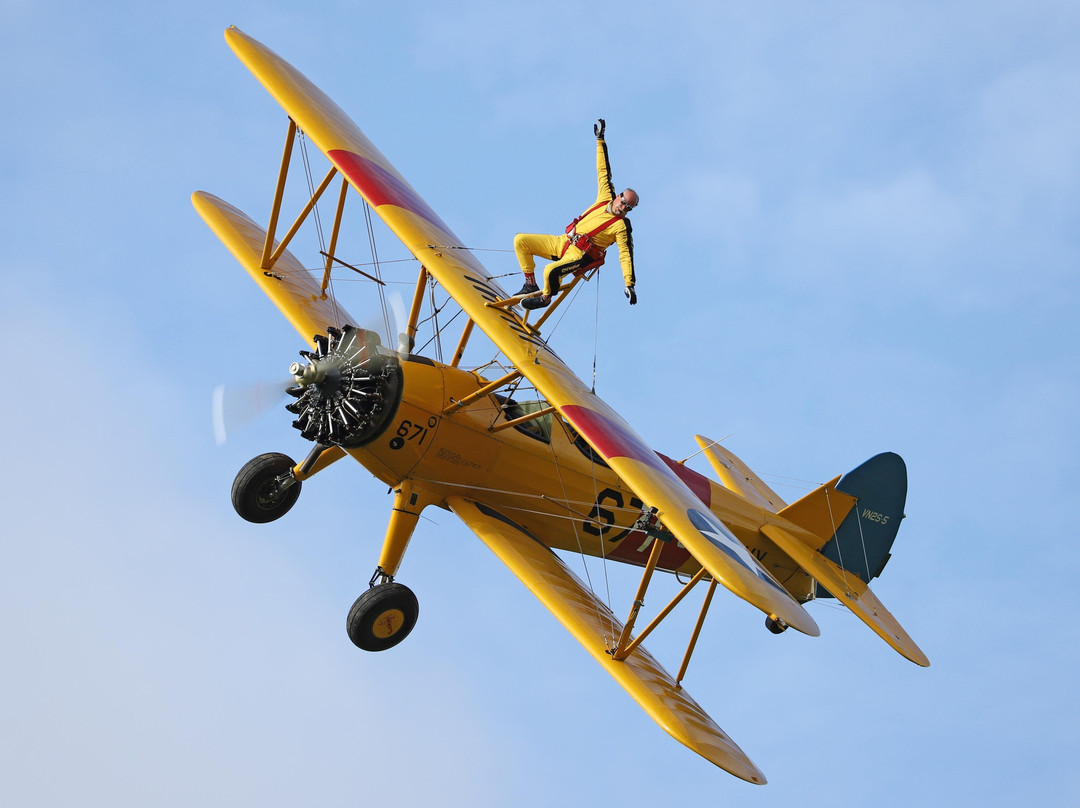 Wingwalk Buzz