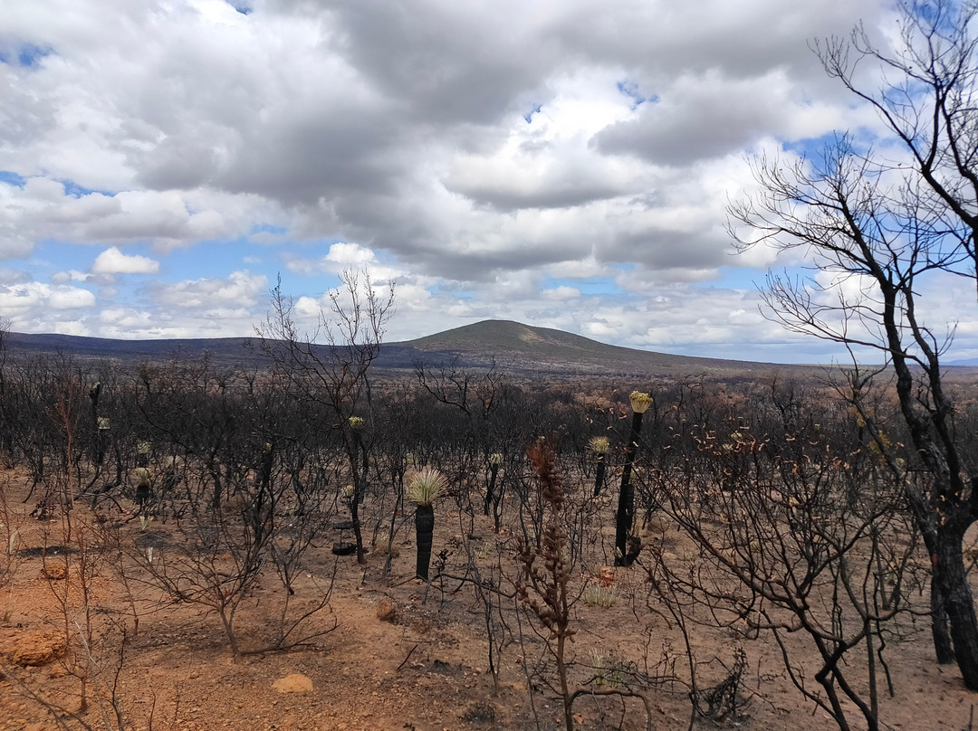 Stirling Range Drive-Stirling Range National Park必去景点