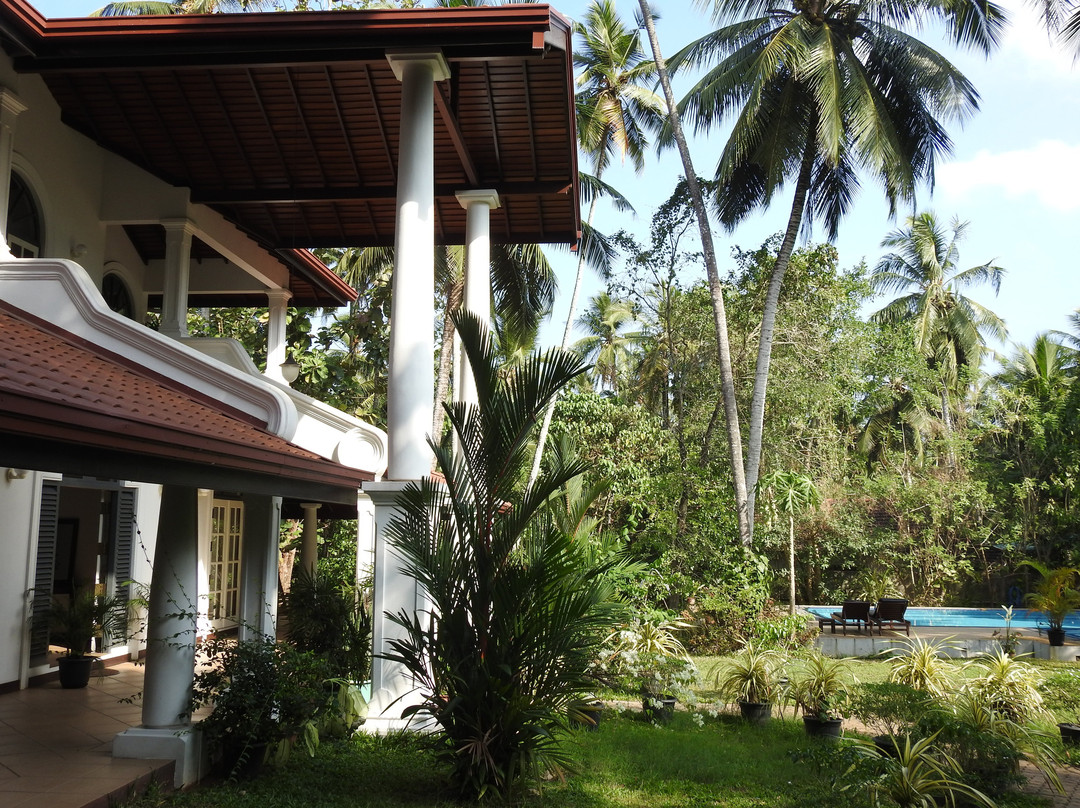 The Villa Green Inn主图