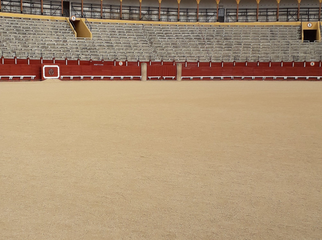 Plaza de Toros de Toledo景点图片