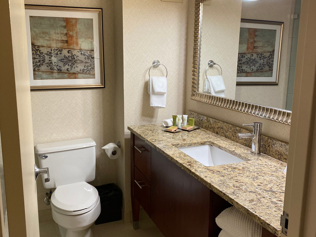 希尔顿纽约肯尼迪机场酒店主图