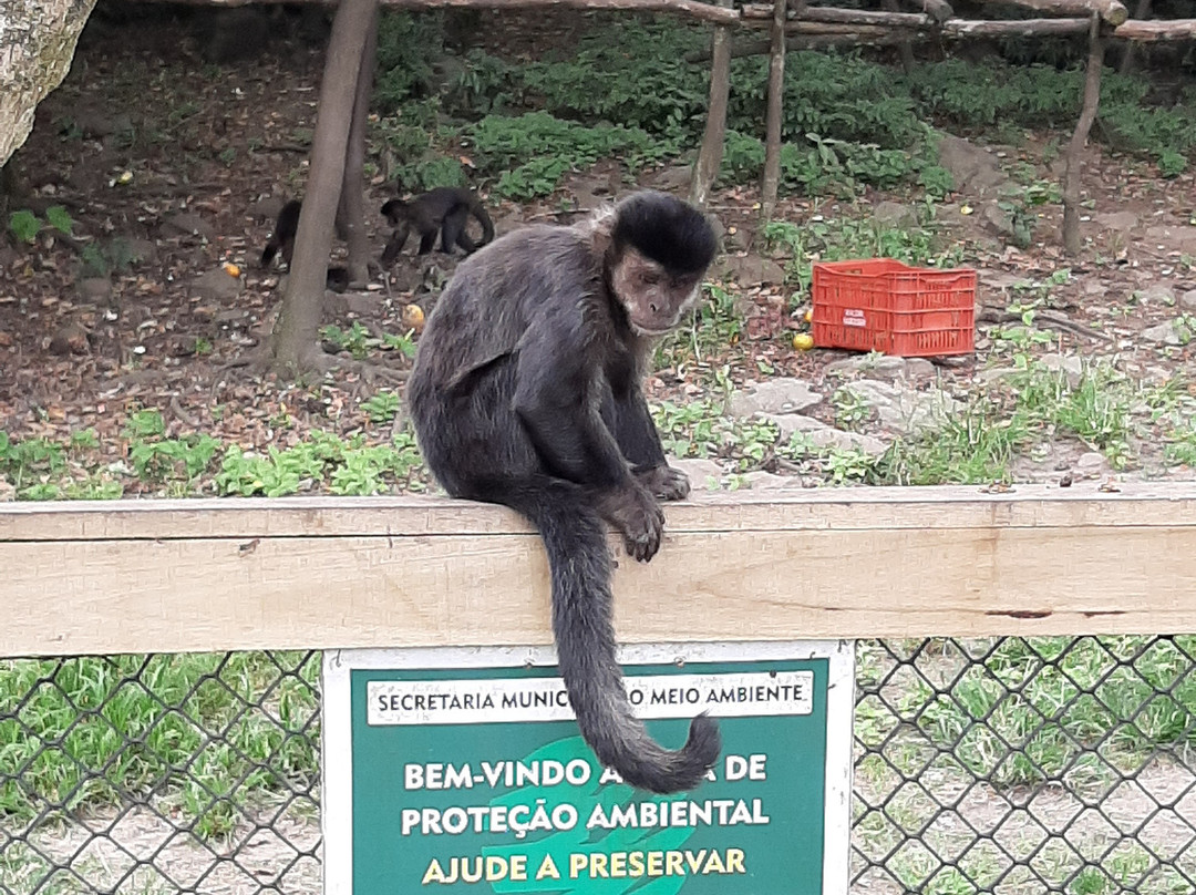 Morro dos Macacos-Passo de Torres必去景点
