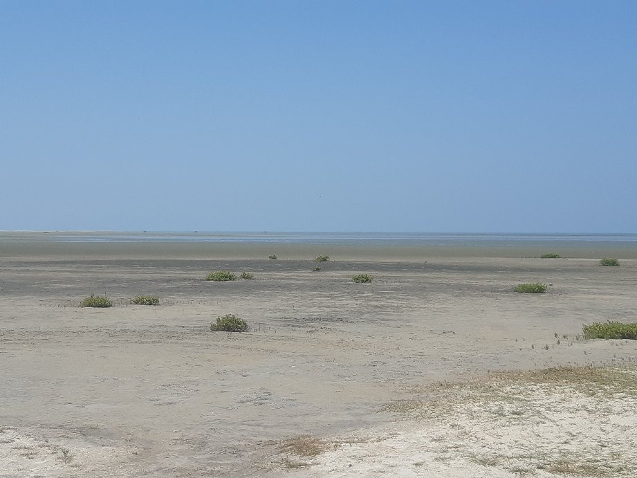 Adam’s Bridge-马纳尔必去景点