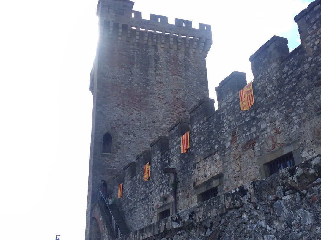 Chateau de Foix景点图片