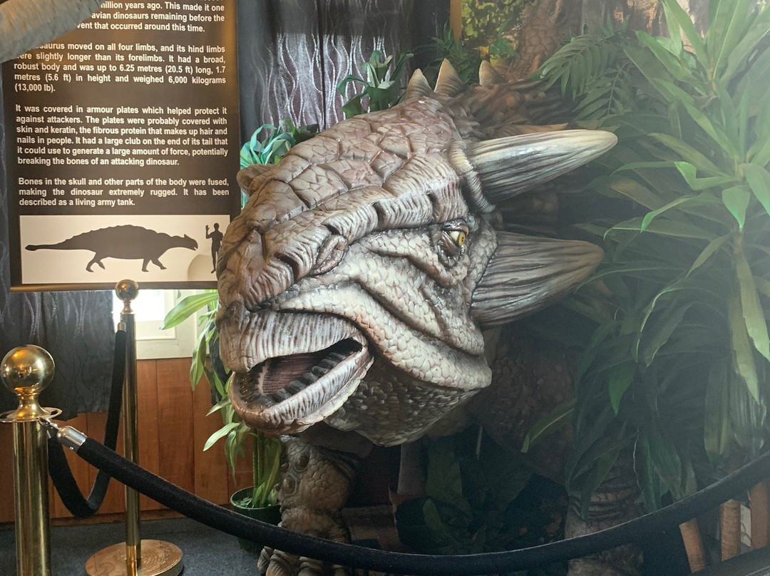 Dinosaur House-Raetihi必去景点