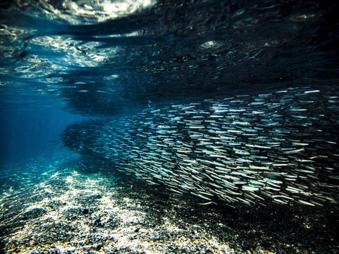 Pevea-莱万托必去景点
