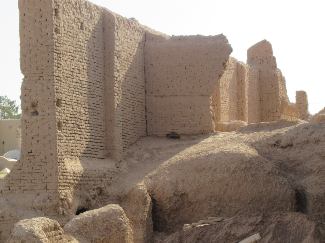 Narenj Castle景点图片