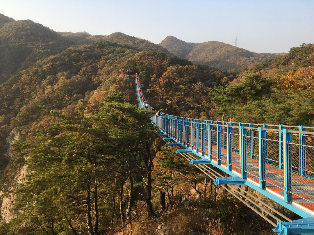 Wonju Sogeumsan Mountain Suspension Bridge-原州市必去景点