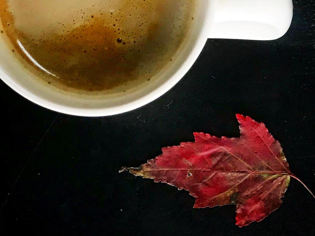 14th Coffee Co. Roastery-Essex必去景点