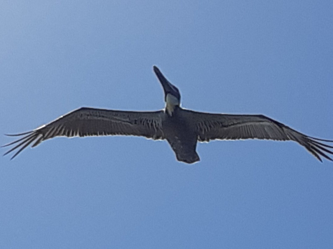Hightower Beach Park景点图片