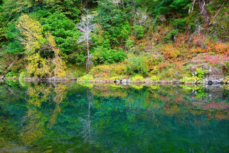 Chetco river-布鲁金斯必去景点