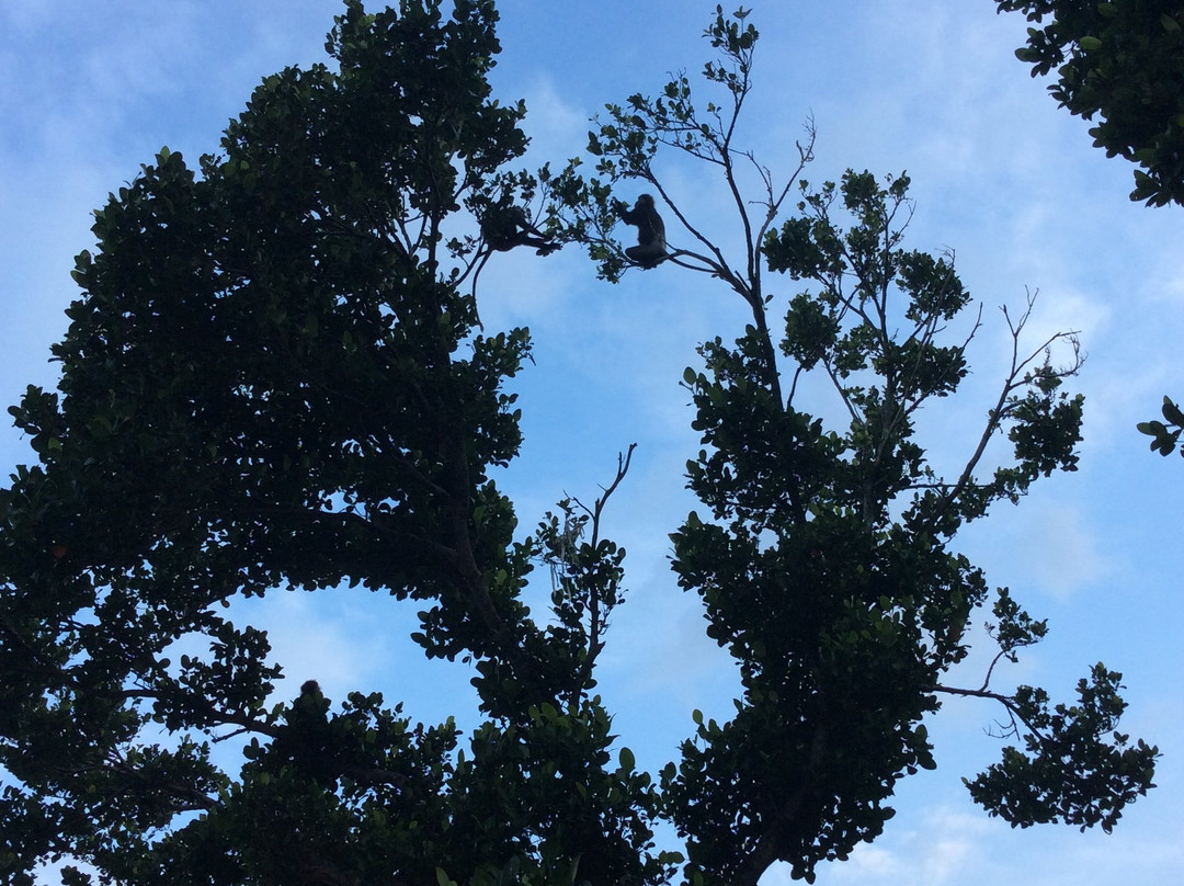 Richmond Hillside主图