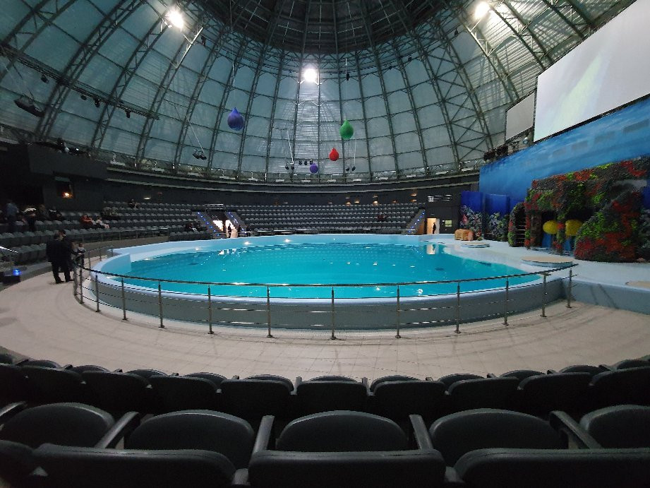 Center of  Oceanography and Marine Biology Delfiniya-新西伯利亚必去景点