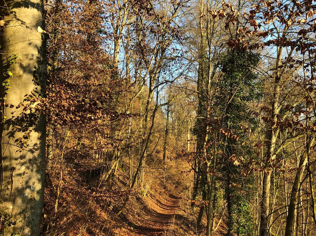 布格霍纳贝格餐厅-酒店主图
