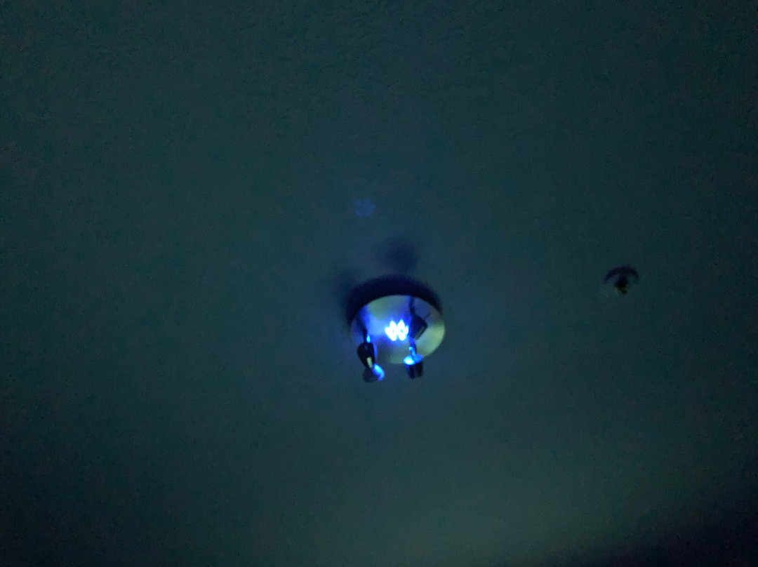 威廉姆斯东大峡谷速8旅馆主图