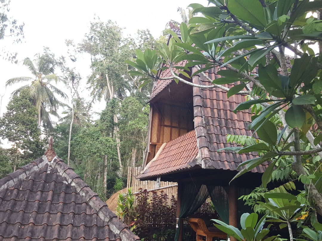 Jungle Lotus Villas主图