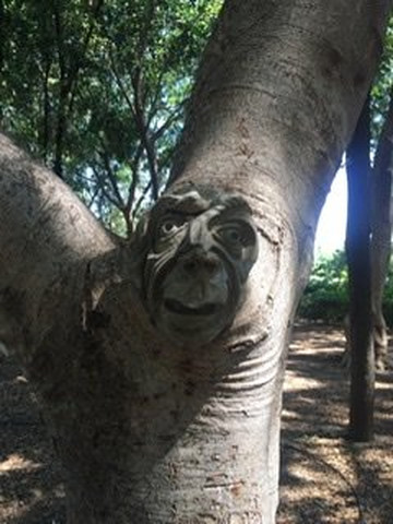 ecobikegreece-伊拉克利翁必去景点