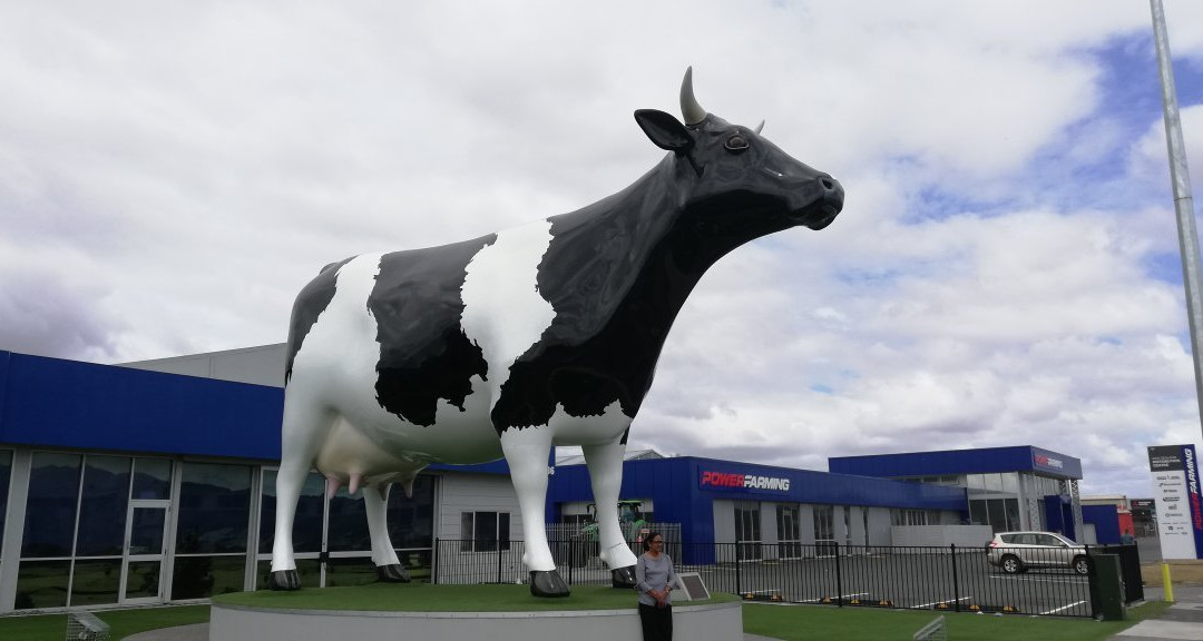 Morrinsville Mega Cow-Morrinsville必去景点